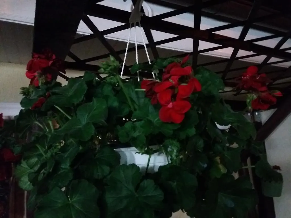 Casuta Noastra Draga Villa Bucarest Rumanía