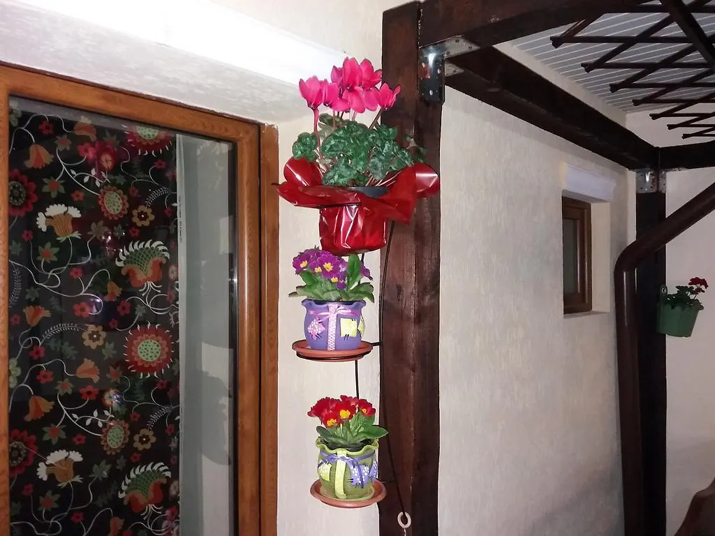 Casuta Noastra Draga Villa Bucarest